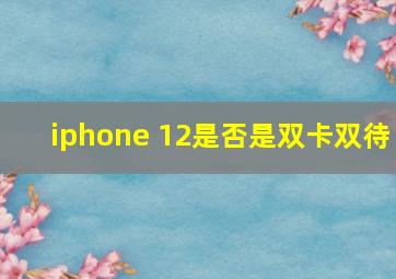 iphone 12是否是双卡双待